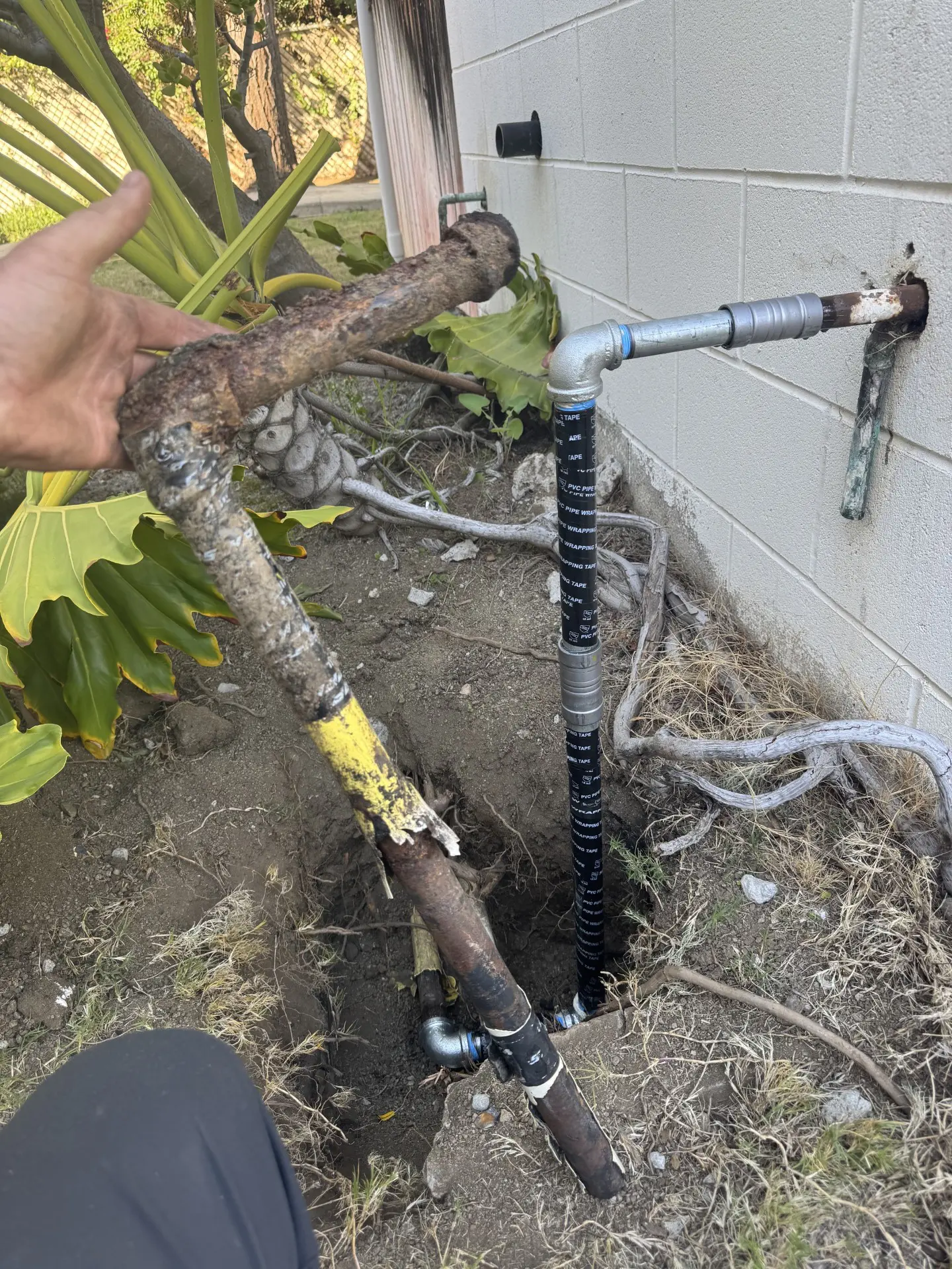 Trusty Plumbing gas line repair